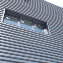 Фасадна панель "Дежавю" принт, 0,70 мм Україна